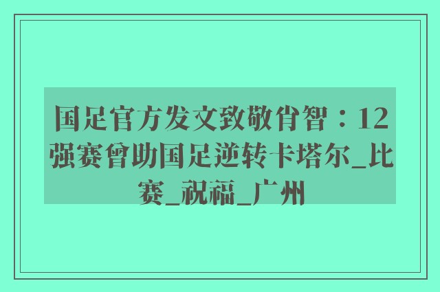 国足官方发文致敬肖智：12强赛曾助国足逆转卡塔尔_比赛_祝福_广州