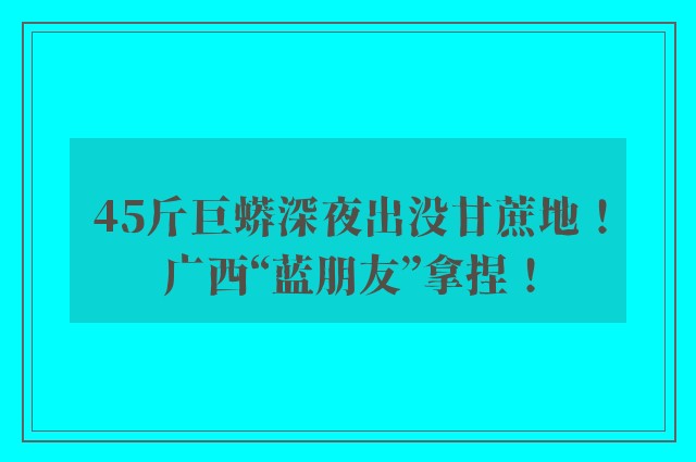 45斤巨蟒深夜出没甘蔗地！广西“蓝朋友”拿捏！