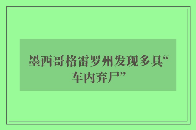 墨西哥格雷罗州发现多具“车内弃尸”