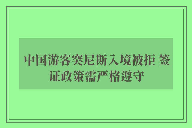 中国游客突尼斯入境被拒 签证政策需严格遵守