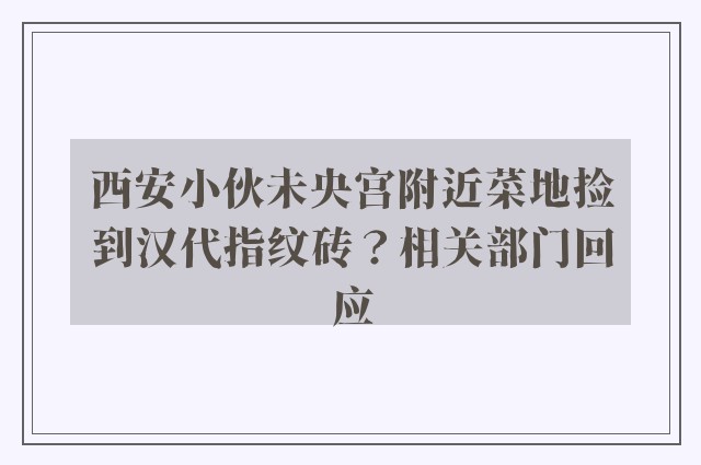 西安小伙未央宫附近菜地捡到汉代指纹砖？相关部门回应